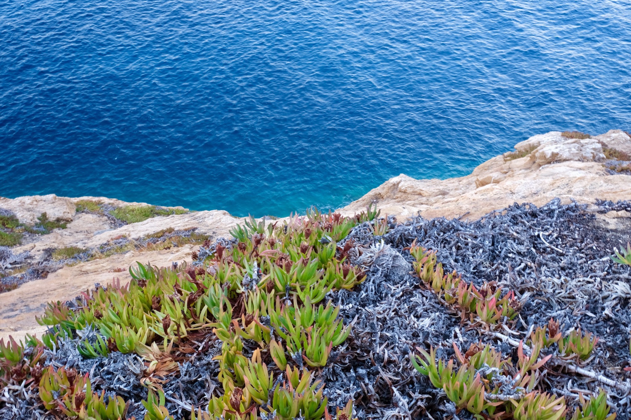 Corsica 2022   24 of 136